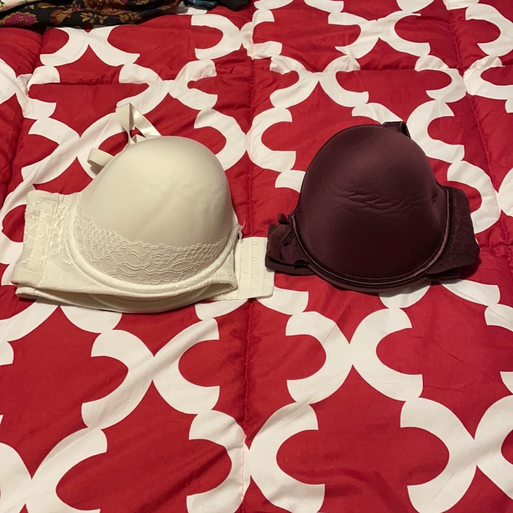 Size 46d torrid bras